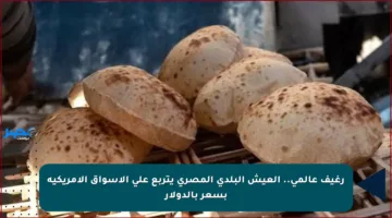 رغيف عالمي.. العيش البلدي المصري يتربع على الأسواق الأمريكية بسعر بالدولار
